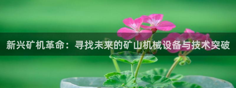风暴娱乐去人l8888