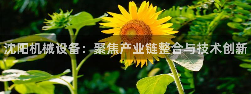 风暴娱乐银川