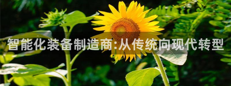 风暴娱乐首页
