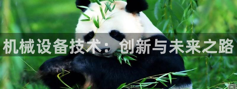 风暴娱乐右5指尖
