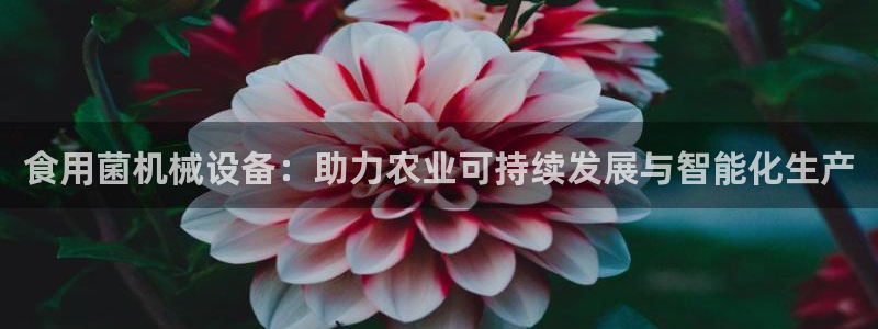 风暴娱乐派对
