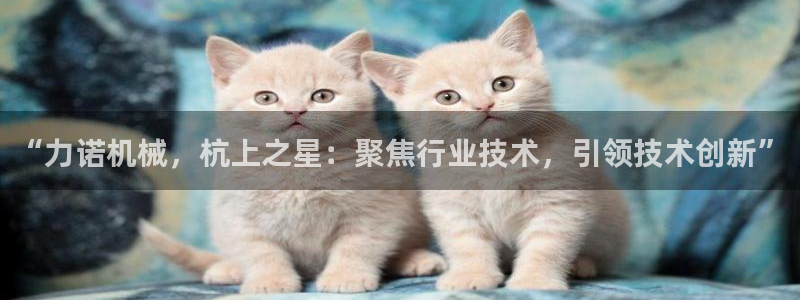 风暴娱乐右5指尖