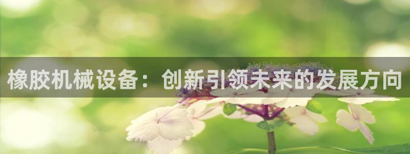 风暴娱乐主管是谁