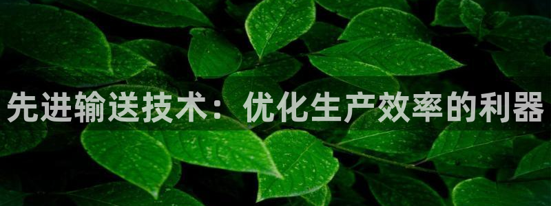 风暴数字娱乐
