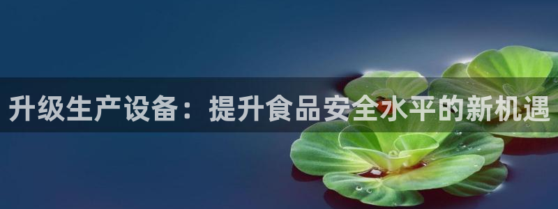风暴英雄娱乐