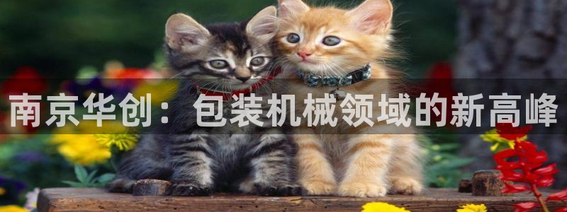 风暴官方娱乐