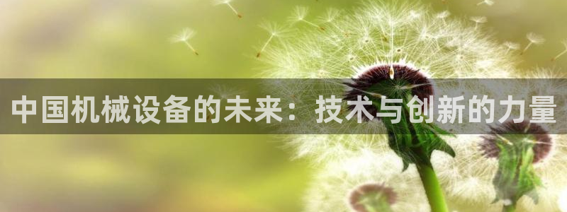 风暴娱乐拉菲8