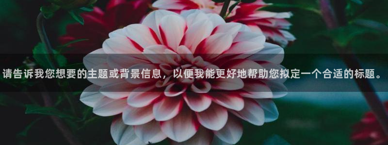 风暴娱乐官方网站