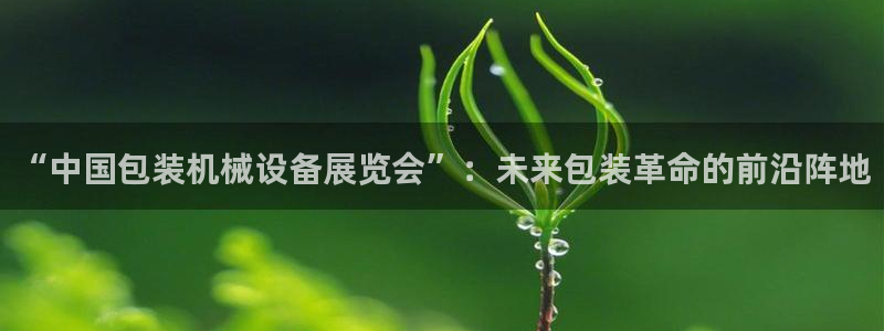 4120051风暴娱乐