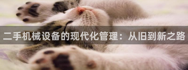 风暴娱乐老板