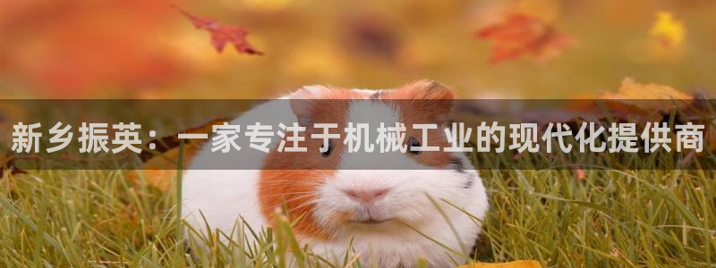 风暴娱乐图片