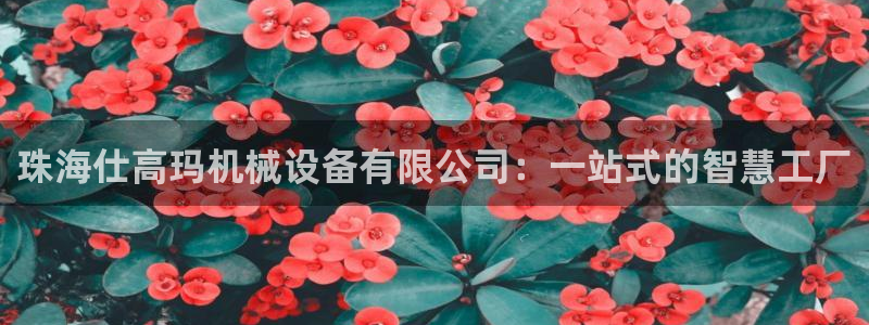 风暴娱乐号