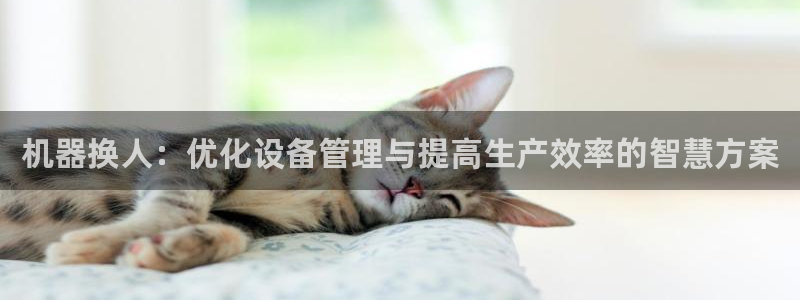 娱乐星空风暴