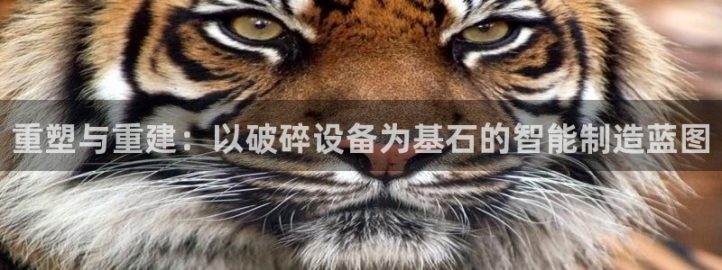 风暴娱乐提现