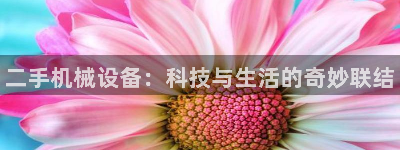 风暴娱乐平台地址