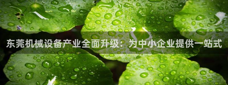 菲律宾风暴娱乐集团