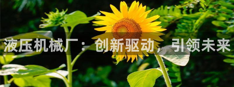 风暴娱乐眼