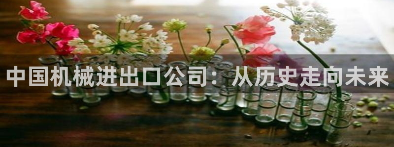 风暴娱乐字图片大全