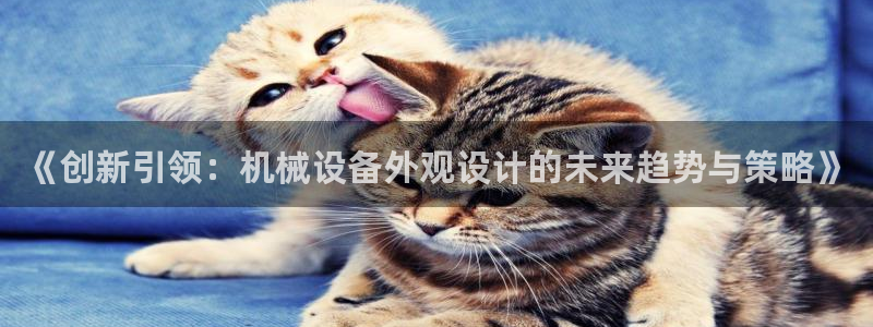 风暴娱乐平台地址