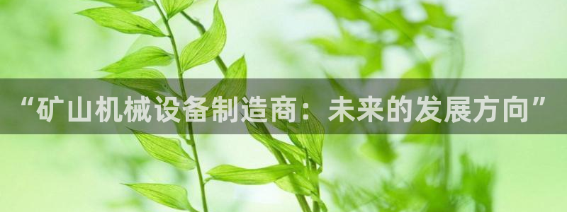 风暴娱乐1980