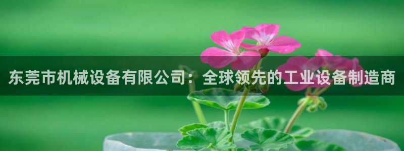 风暴娱乐派对