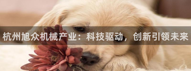 风暴娱乐待遇