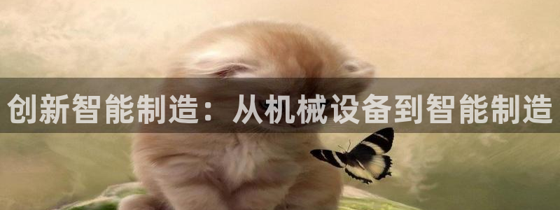 风暴娱乐记