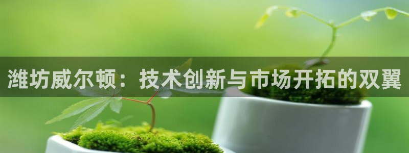 风暴眼娱乐
