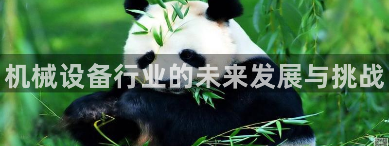 风暴娱乐月5指尖