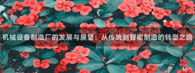 风暴娱乐平台地址