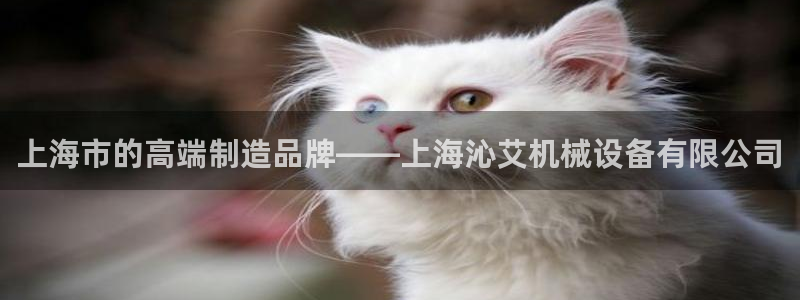 风暴数字娱乐