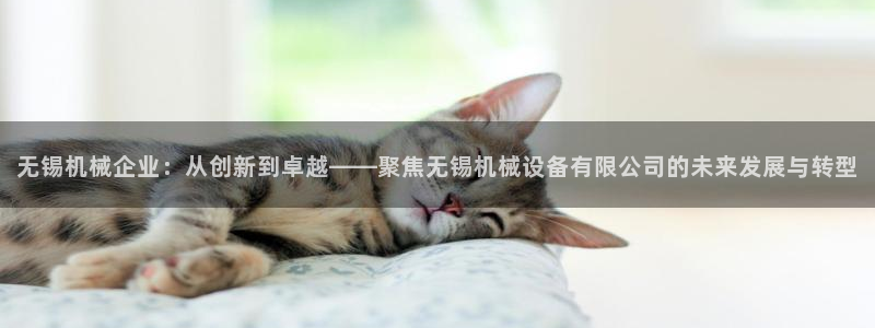 风暴娱乐园