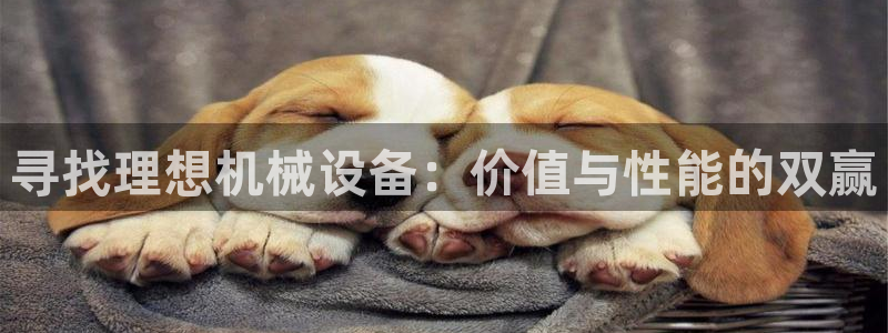 风暴娱乐平台官网登陆