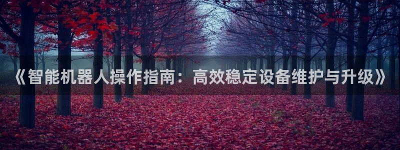 风暴娱乐待遇