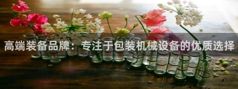 风暴娱乐字图片大全