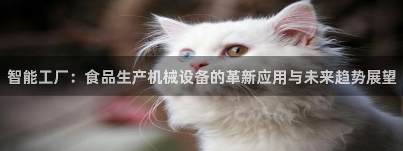 风暴娱乐部
