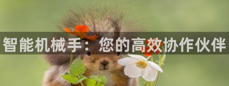 风暴娱乐登录网址