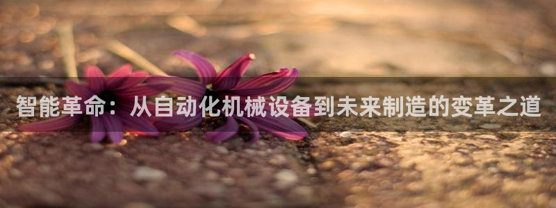 风暴娱乐平台官网登陆