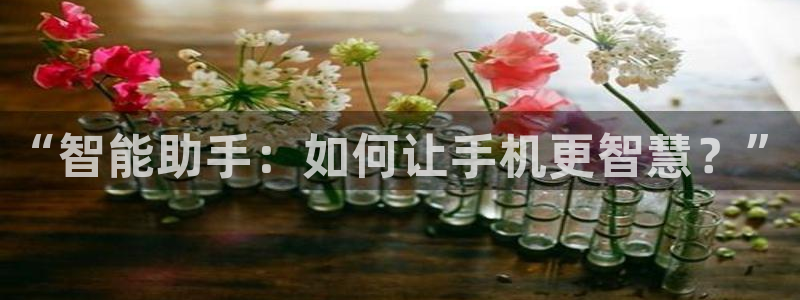 风暴娱乐平台地址